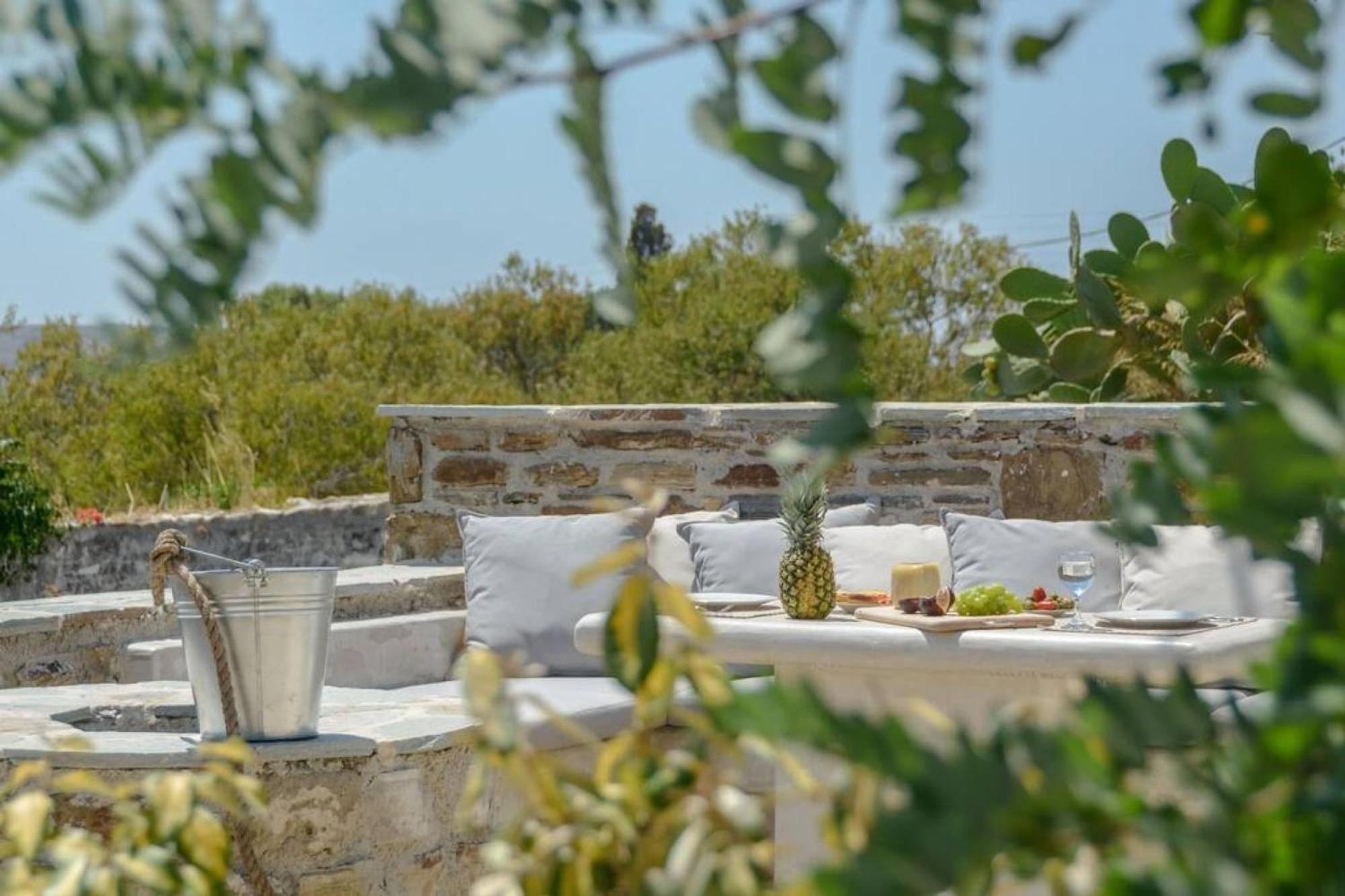 Villa Anthemion Naxos With Outdoor Jacuzzi Ano Sangrion Exterior photo